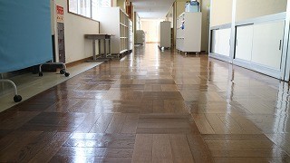 どこもかしこもつやっつやに光っています。