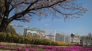 1年生の入学を待っていますよ。